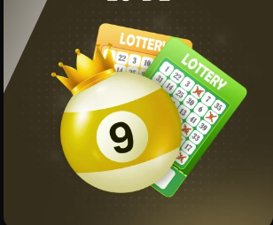 波尔不再隐瞒！公开樊振东不回中国队真正原因，难怪退出世界排名